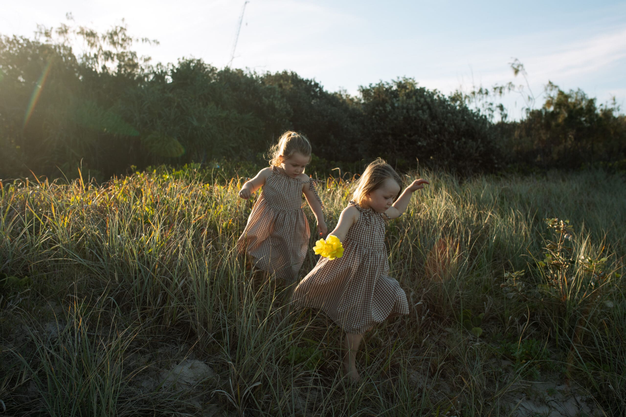 two toddlers are running through sans dunes in golden hour , the sunlight gently outlines them as they run and pick flowers